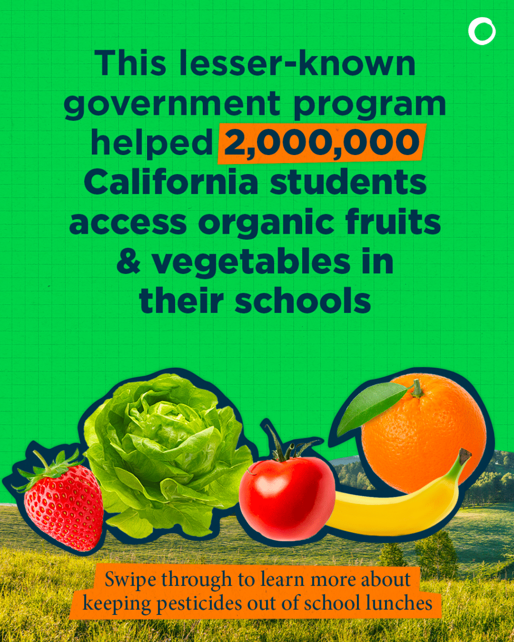 May contain a strawberry, lettuce, tomato, orange, and banana.