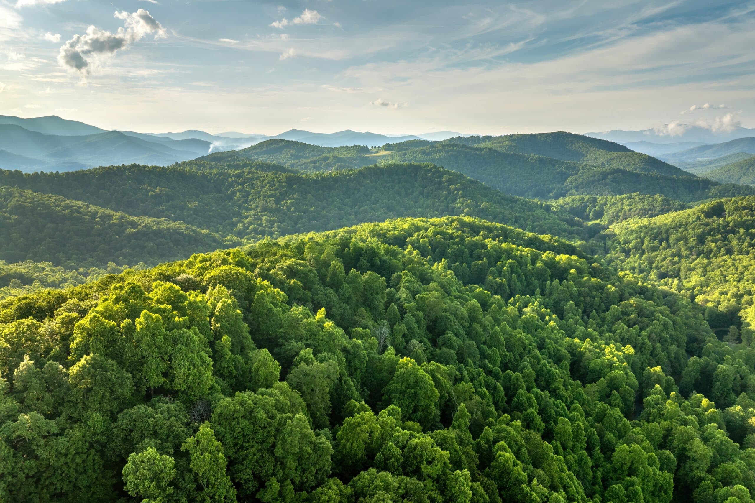 May contain rolling green hills and mountains covered in lush trees.