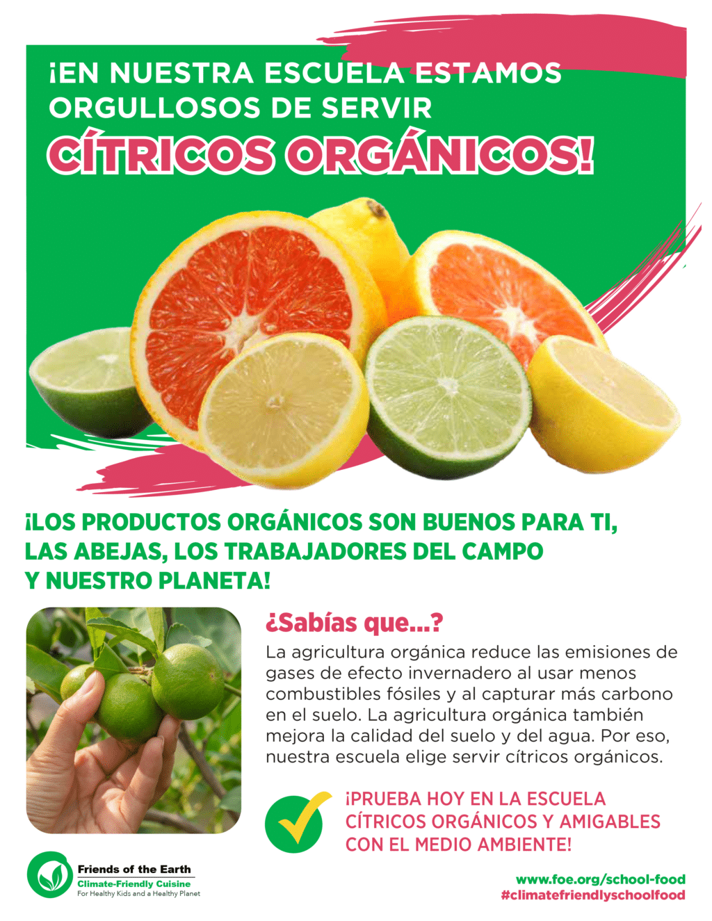 May contain citrus fruits and a person's hand harvesting them.