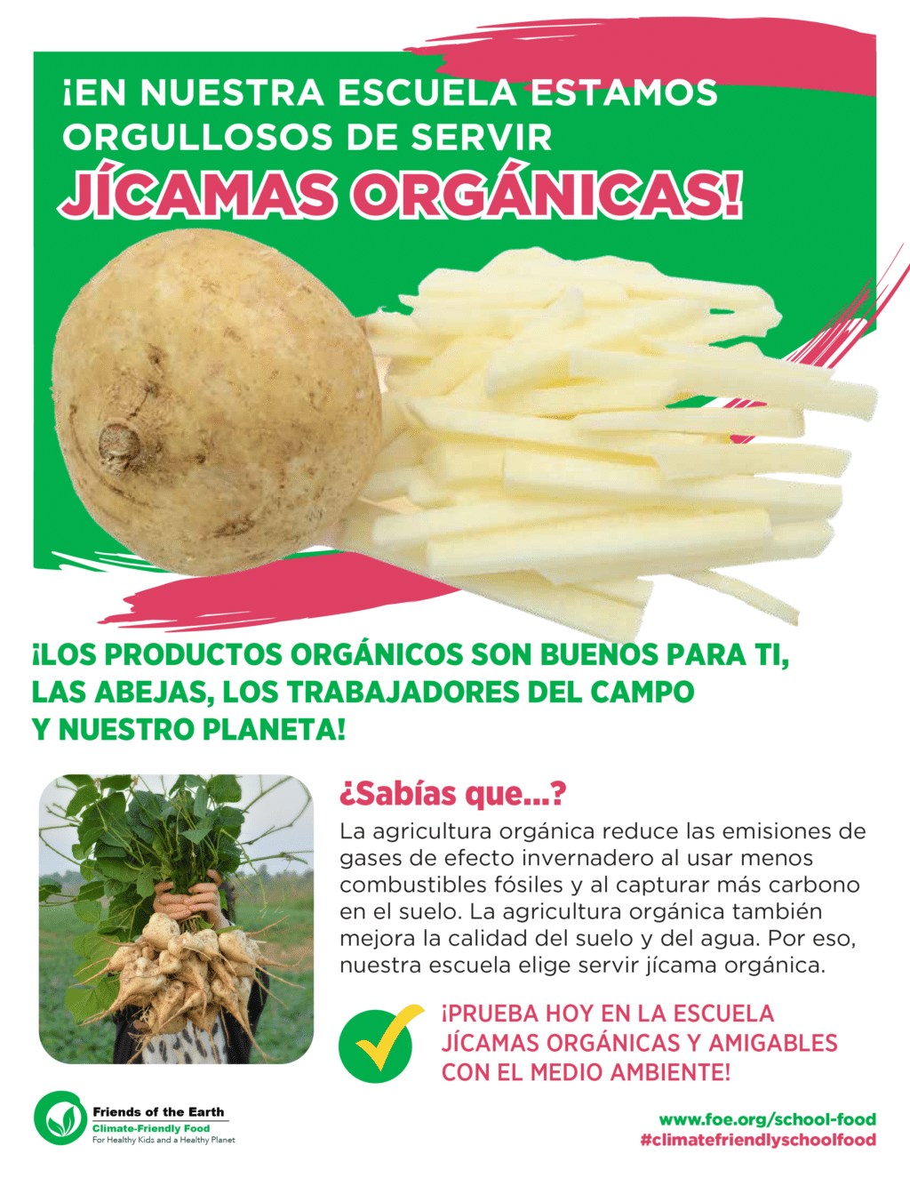 May contain a whole jicama next to sliced jicama.