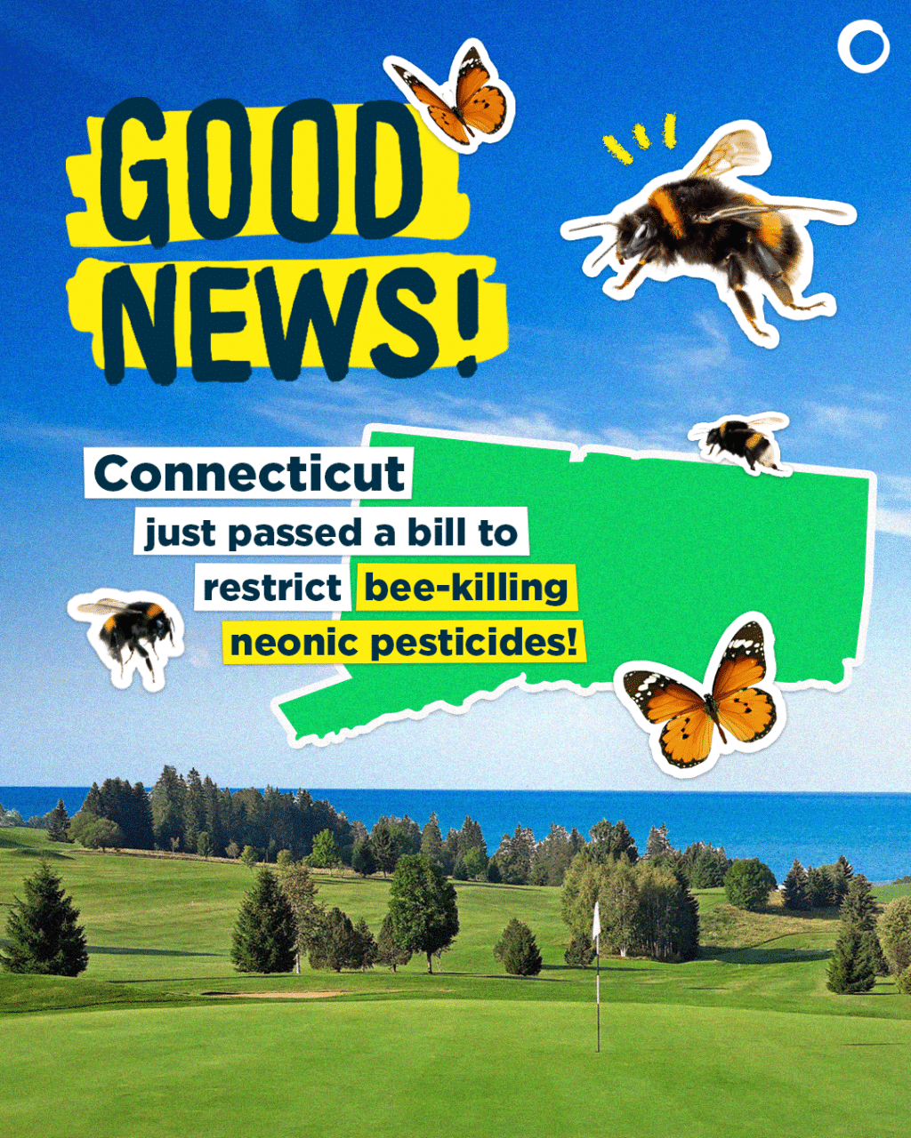 May contain text "GOOD NEWS!" and bees.