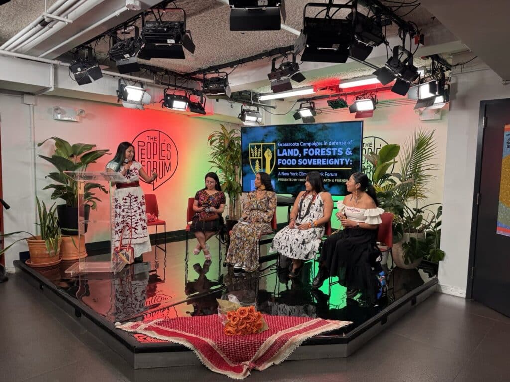 May contain five people on a stage with plants and lighting.