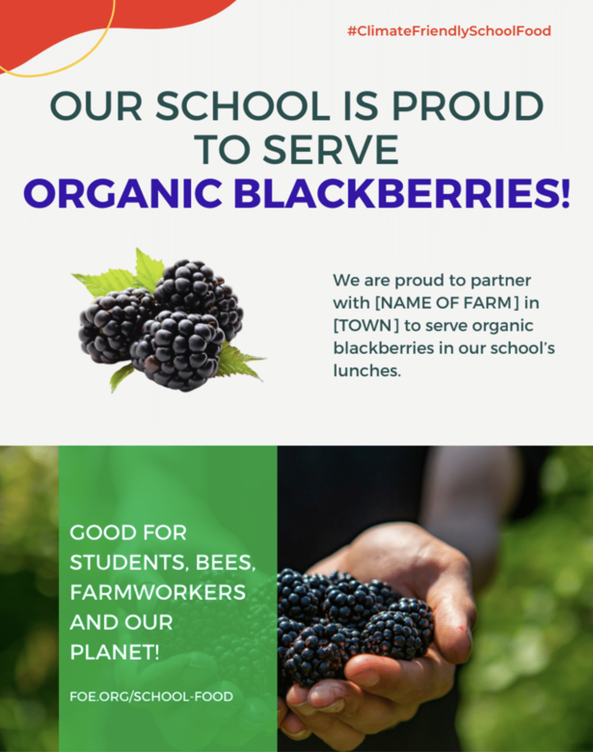 May contain a person holding organic blackberries.