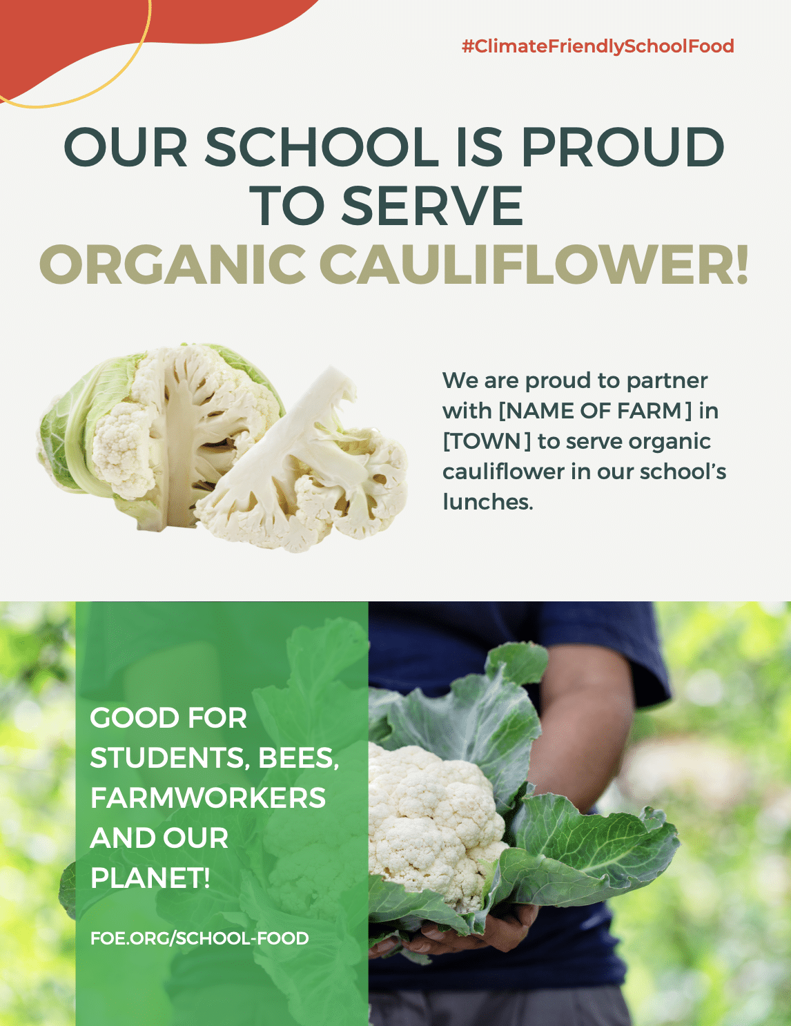 May contain a person holding a cauliflower.