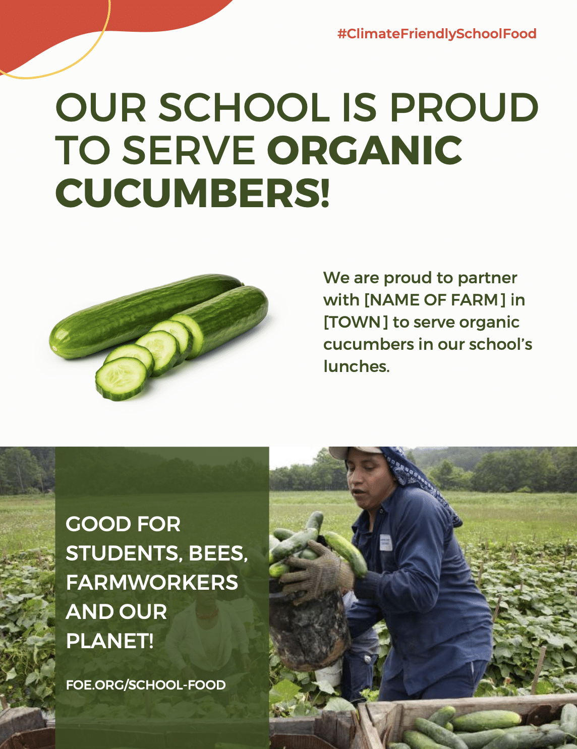 May contain a person harvesting cucumbers in a field.