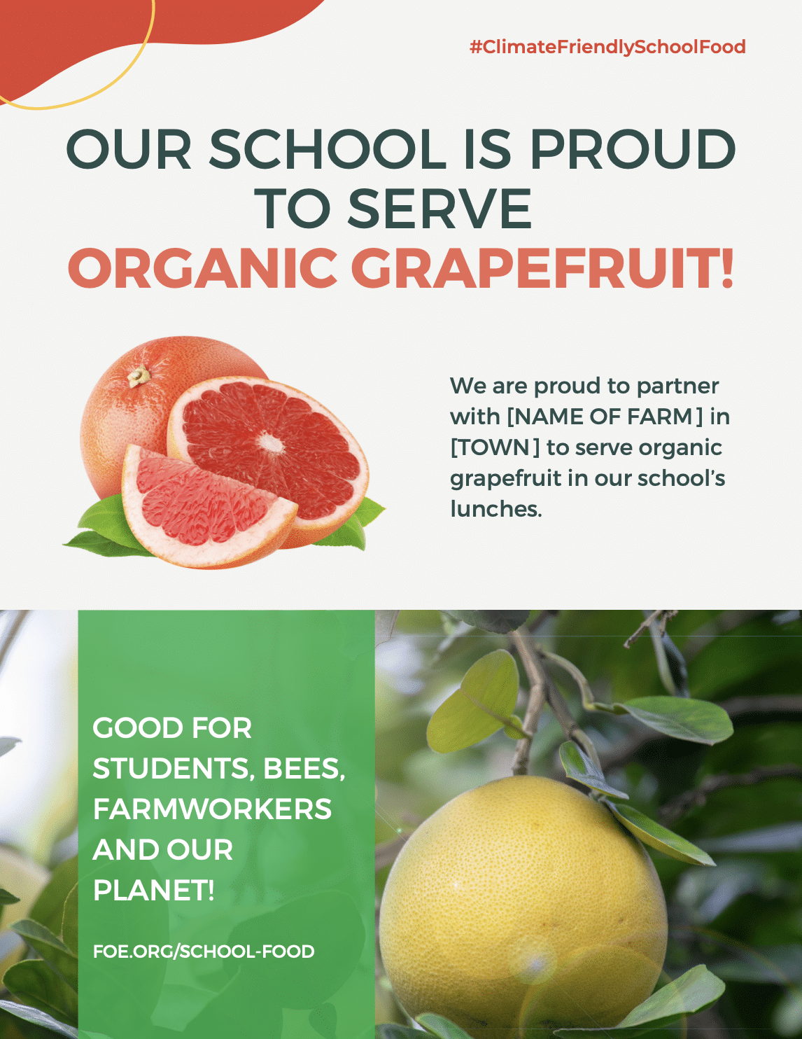 May contain a whole and sliced grapefruit, and text about school lunches.