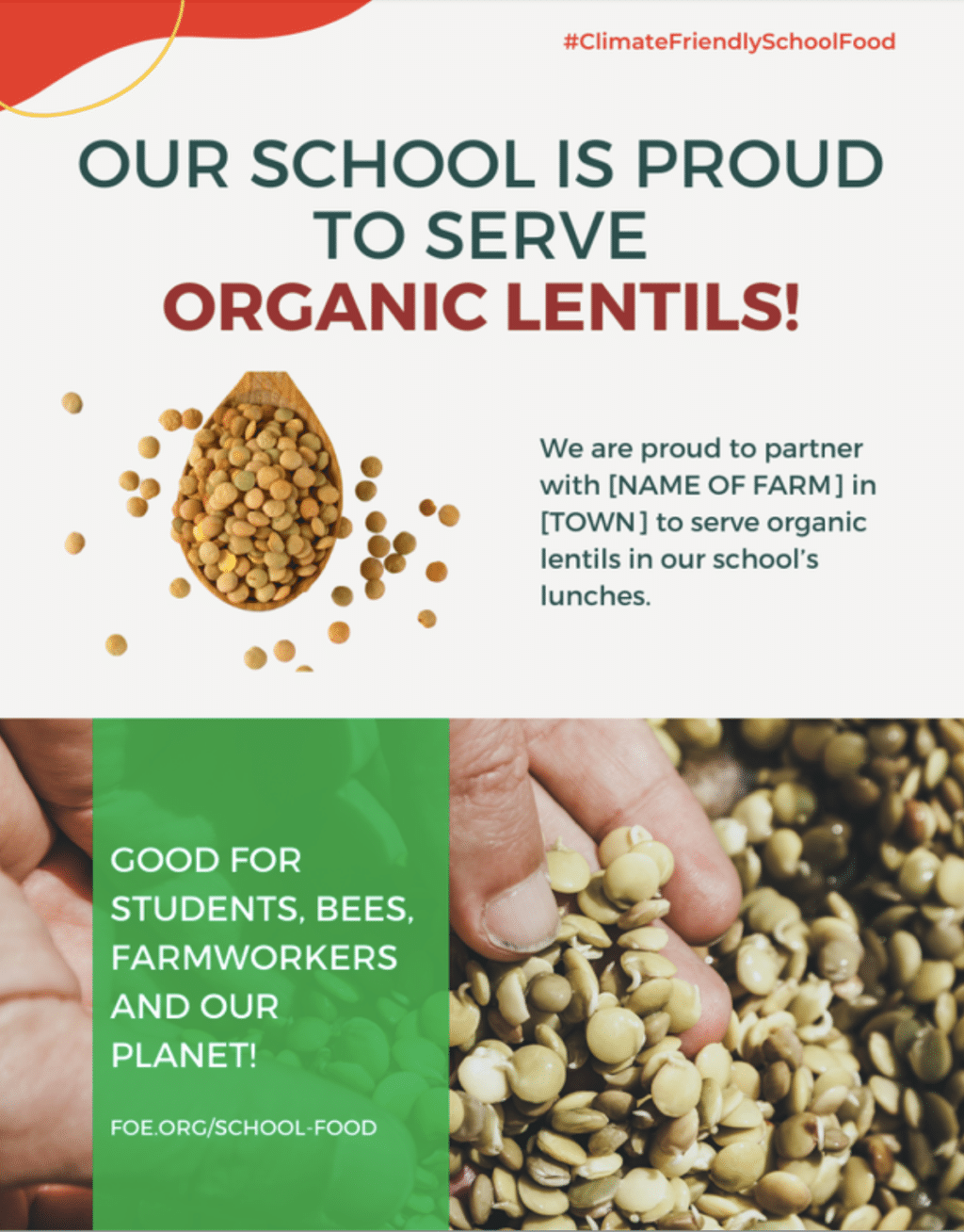 May contain a wooden spoon full of lentils and text about school food.