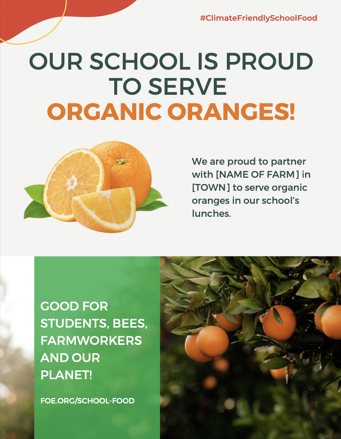 May contain three whole and sliced oranges with leaves, and oranges on a branch.