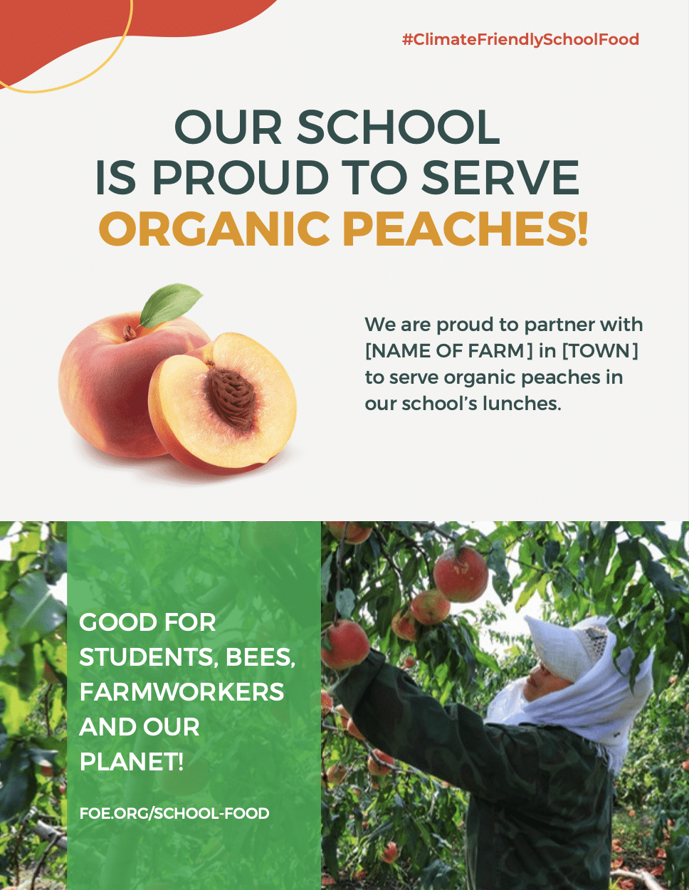 May contain a person harvesting peaches from a tree.
