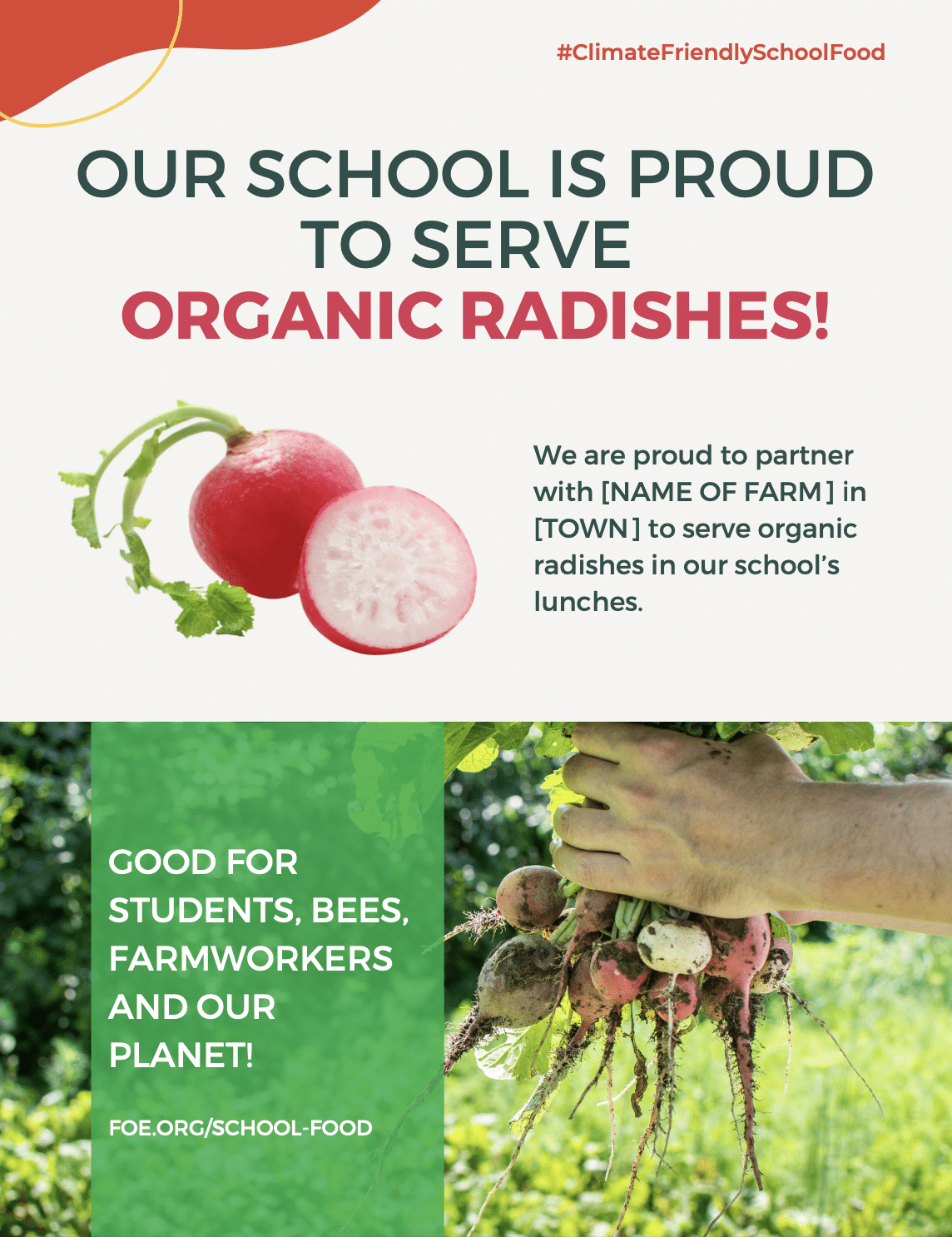 May contain a person holding freshly harvested radishes.