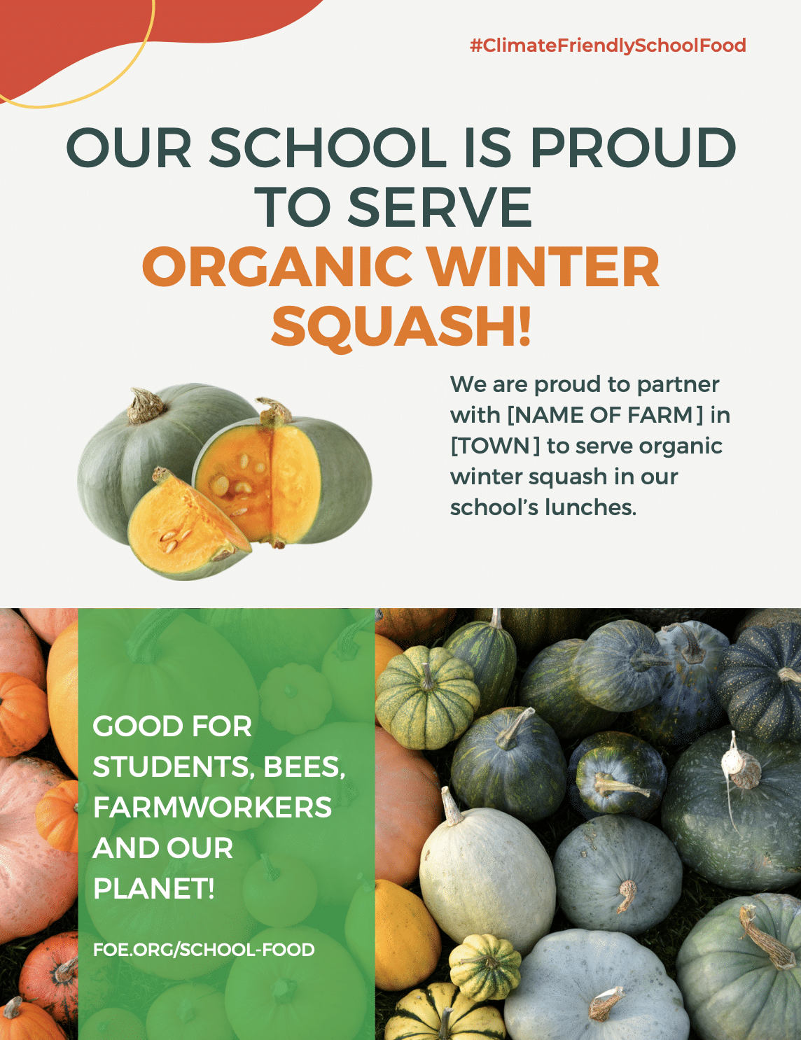 May contain a variety of pumpkins and squash, some cut open.