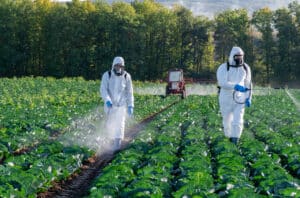 May contain two people in hazmat suits spraying a field of crops.