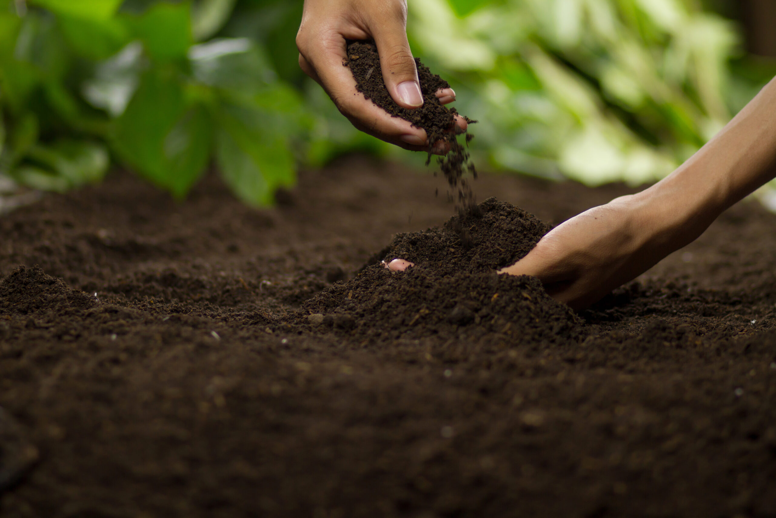 May contain two people planting a seed in soil.