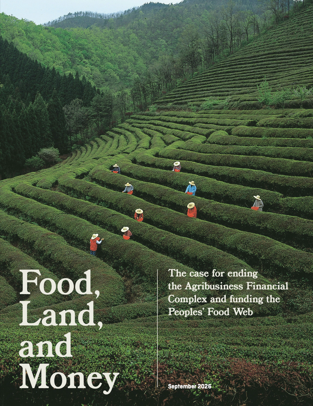 May contain several people working on a hillside tea plantation.