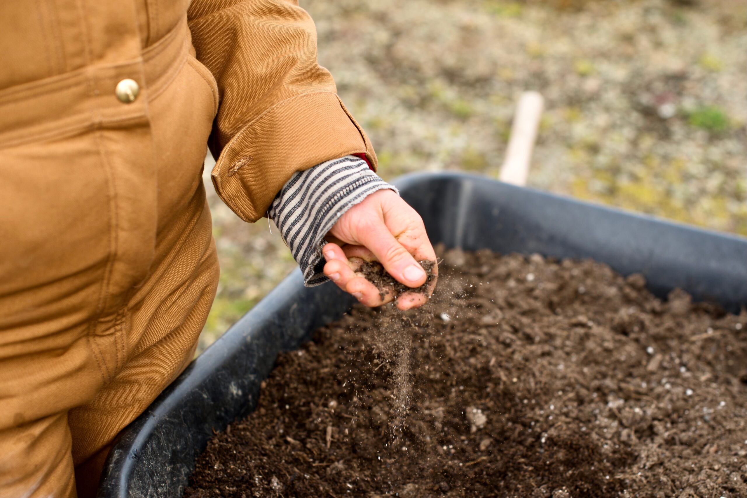 May contain one person's hand holding soil over a wheelbarrow.